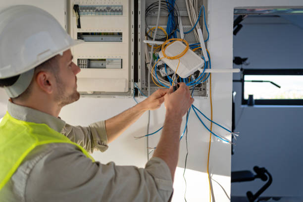 Best Electric Panel Repair  in Ferndale, WA